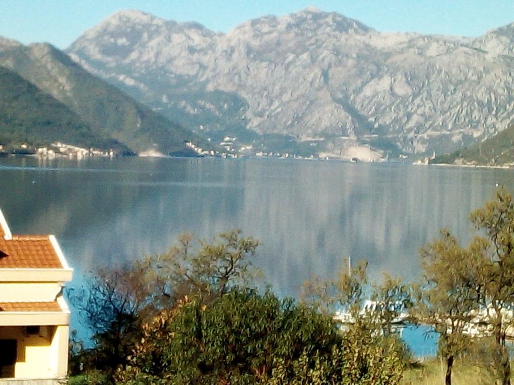 Villa Adriatic Kotor Eksteriør bilde